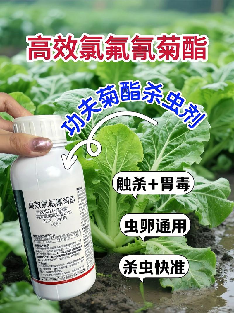 衡水代生中心:农药对供卵代生妈妈的危害